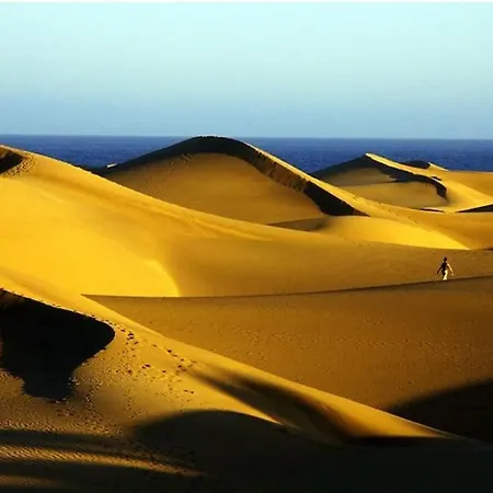 Caribe 530 By Casas Cocodrilo Playa del Inglés