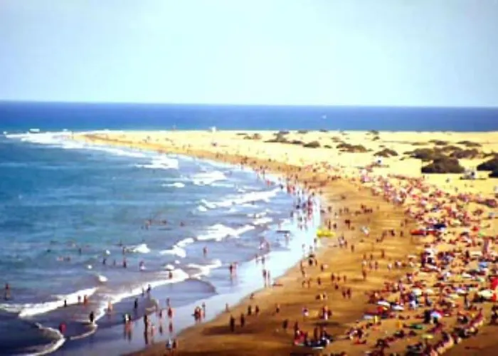 Caribe 530 By Casas Cocodrilo